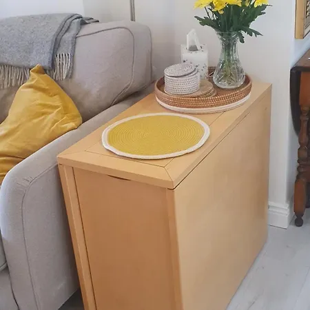 Stylish, Bright, Luxurious, Flat In Dublin 6w Apartment Terenure